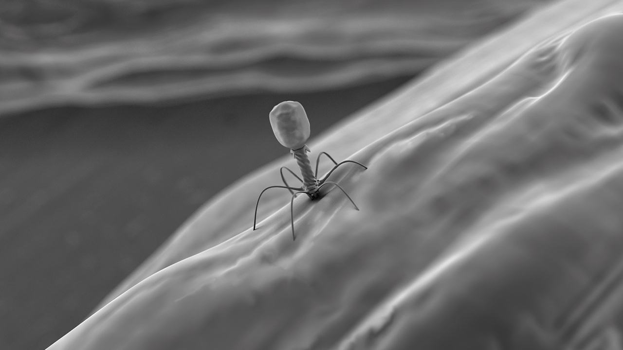 nanocam-documental-el-exilio-bacteriofago-T4-1280x720-rgb