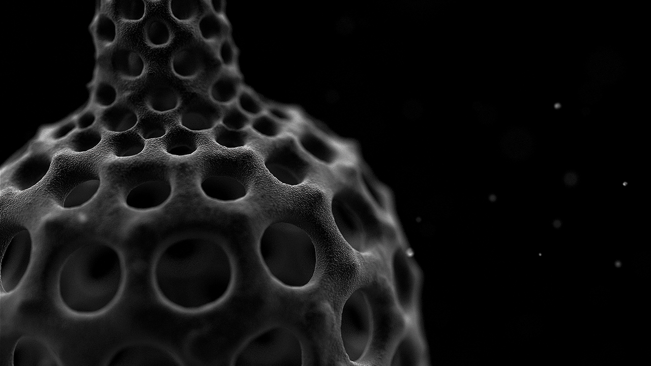 nanocam-documental-el-exilio-lamprocyclas-maritalis-1280x720-rgb